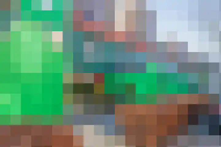Vurehout 146 Zaandam thumbnail 37