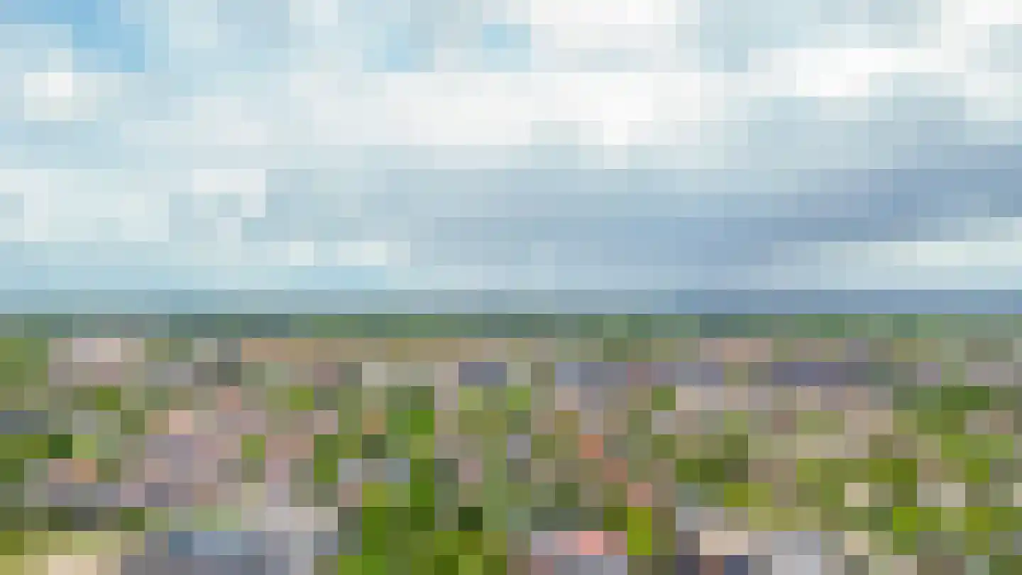 Vurehout 158 Zaandam thumbnail 32