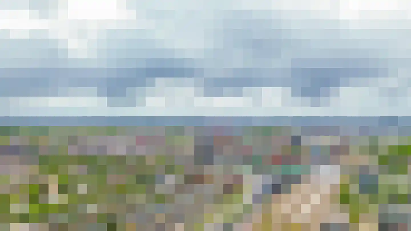 Vurehout 158 Zaandam thumbnail 33