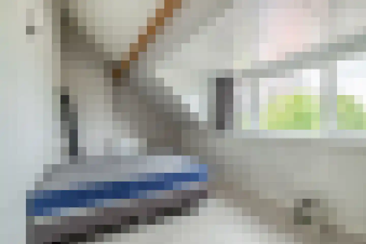 Vurehout 158 Zaandam thumbnail 4