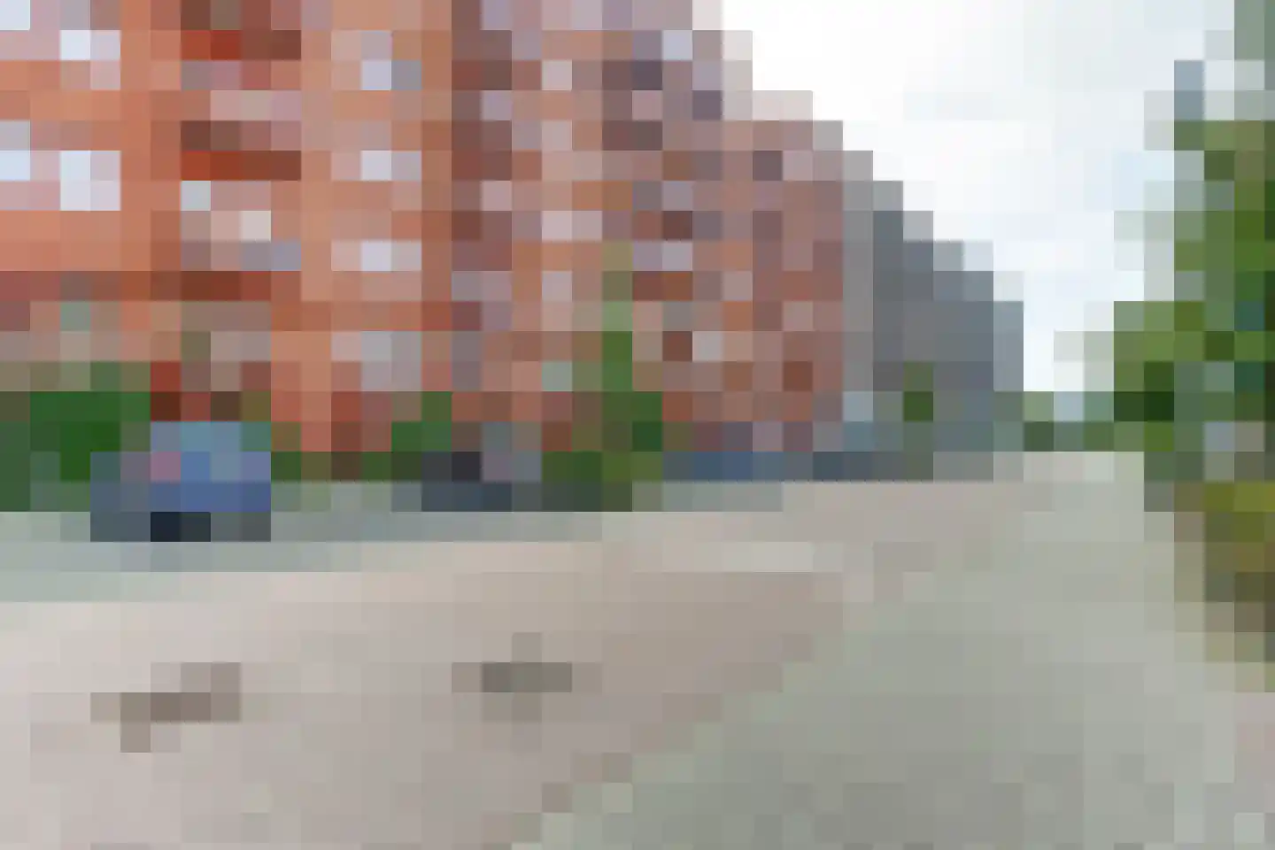 Vurehout 209 Zaandam