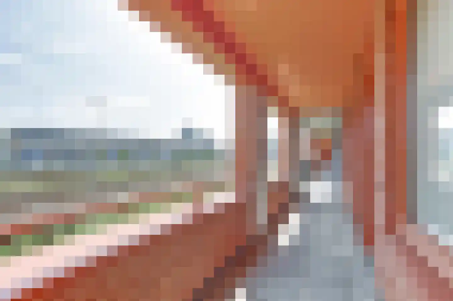 Vurehout 209 Zaandam thumbnail 14