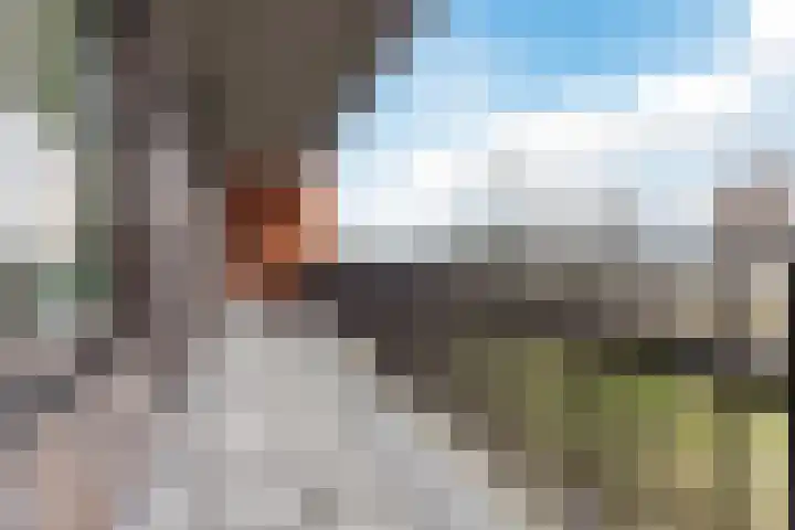Vurehout 213 Zaandam thumbnail 10