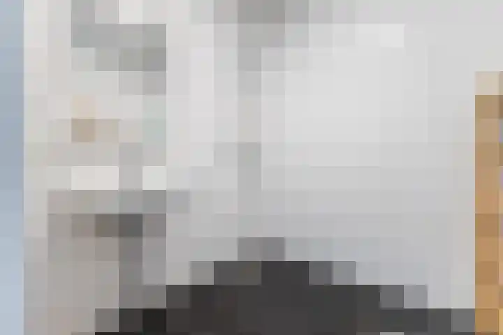 Vurehout 213 Zaandam thumbnail 25
