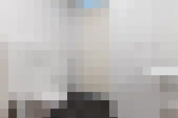 Vurehout 213 Zaandam thumbnail 26
