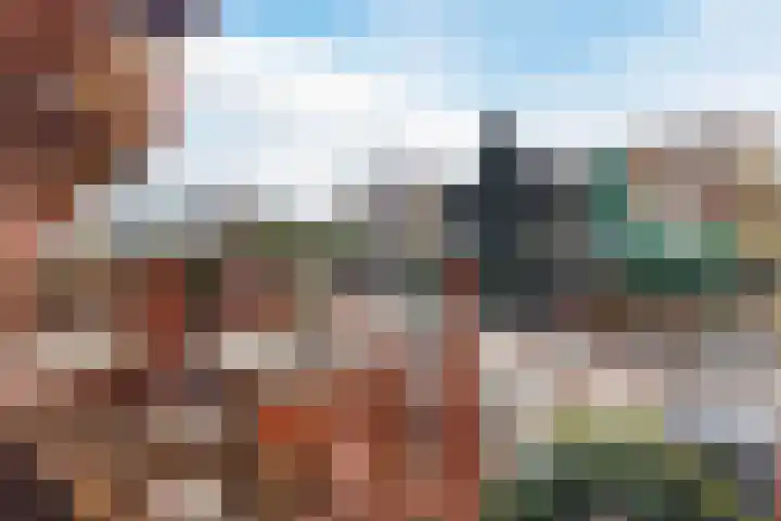 Vurehout 213 Zaandam thumbnail 28