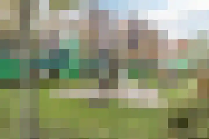 Vurehout 213 Zaandam thumbnail 32