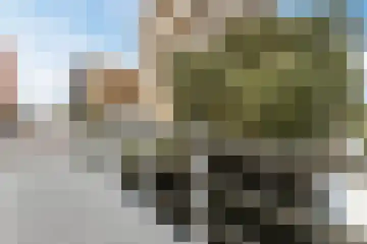 Vurehout 213 Zaandam thumbnail 33