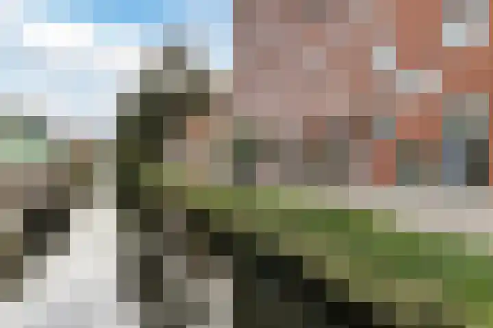 Vurehout 213 Zaandam thumbnail 34