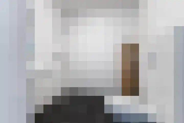 Vurehout 213 Zaandam thumbnail 4
