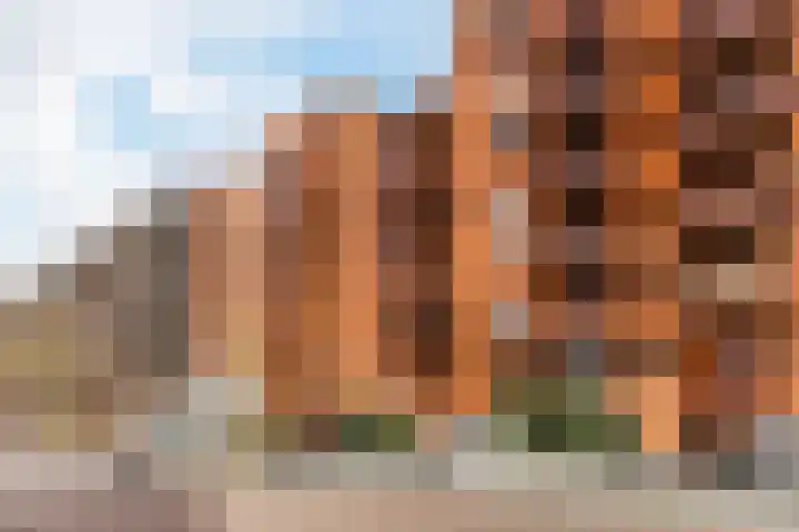 Vurehout 213 Zaandam thumbnail 6
