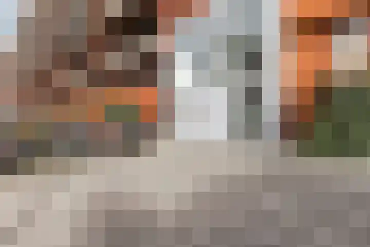 Vurehout 213 Zaandam thumbnail 7