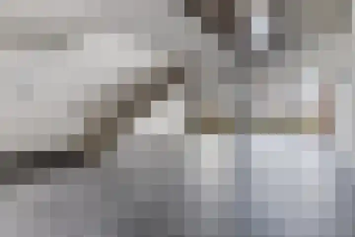 Vurehout 213 Zaandam thumbnail 9