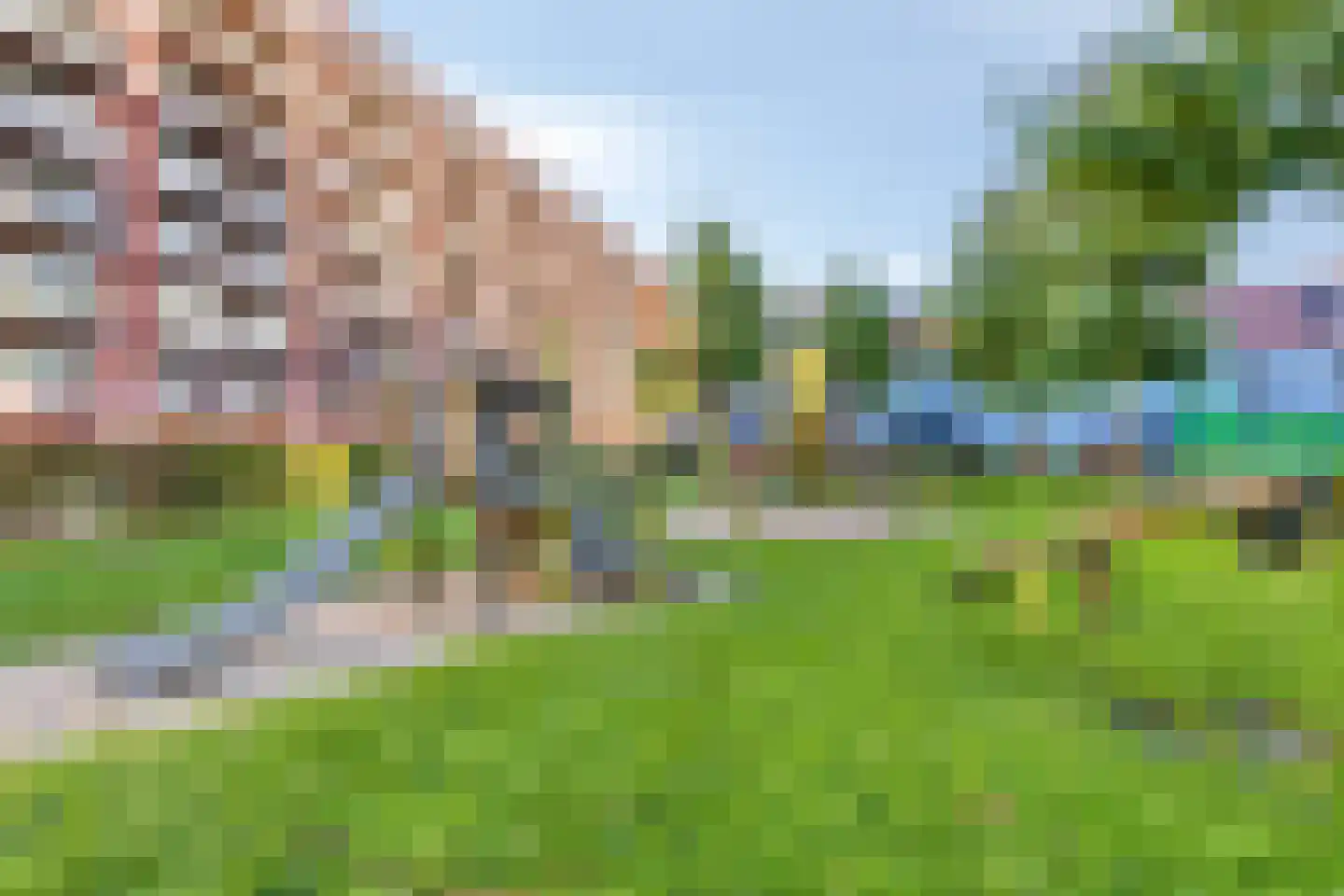 Vurehout 257 Zaandam thumbnail 27