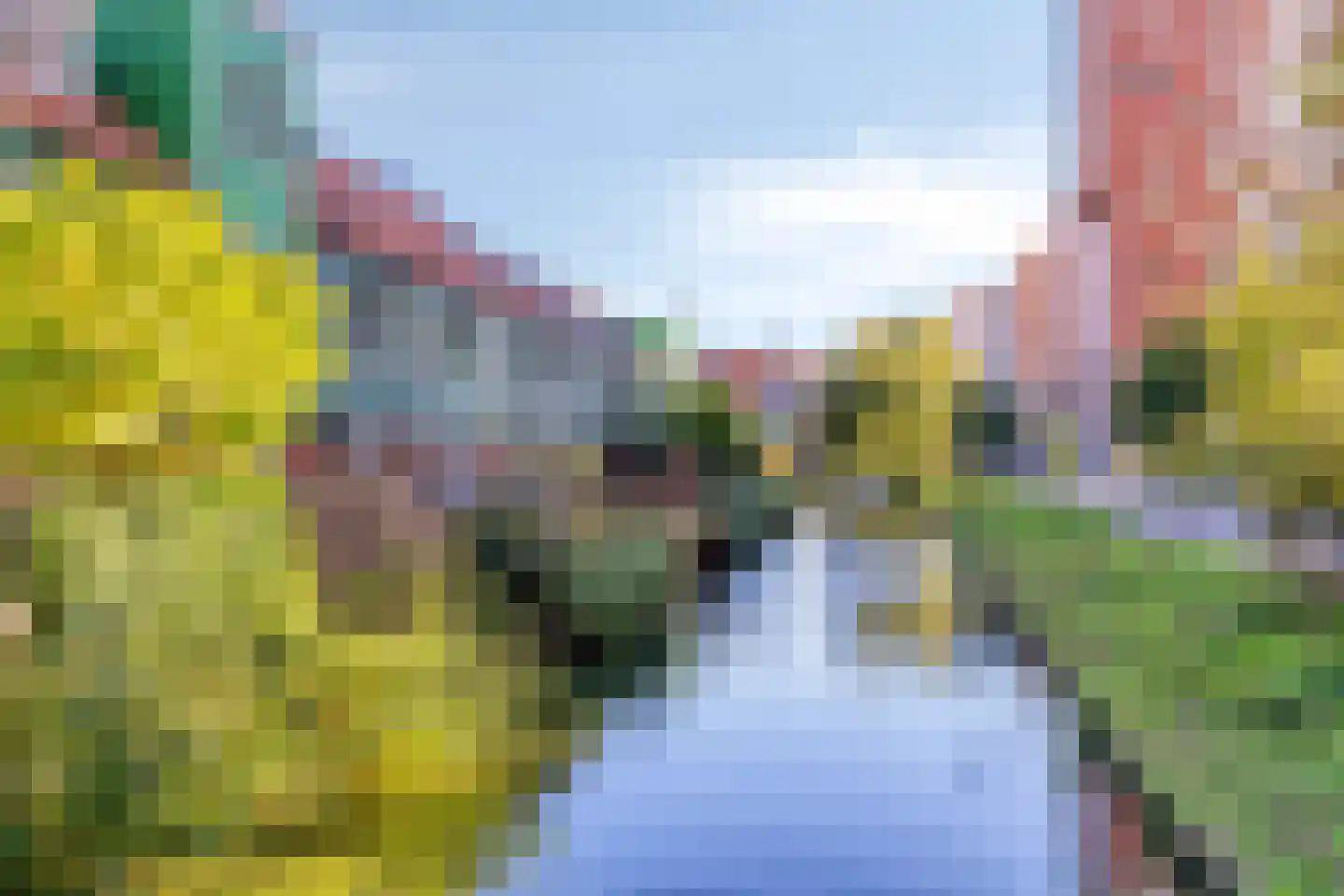 Vurehout 257 Zaandam thumbnail 28