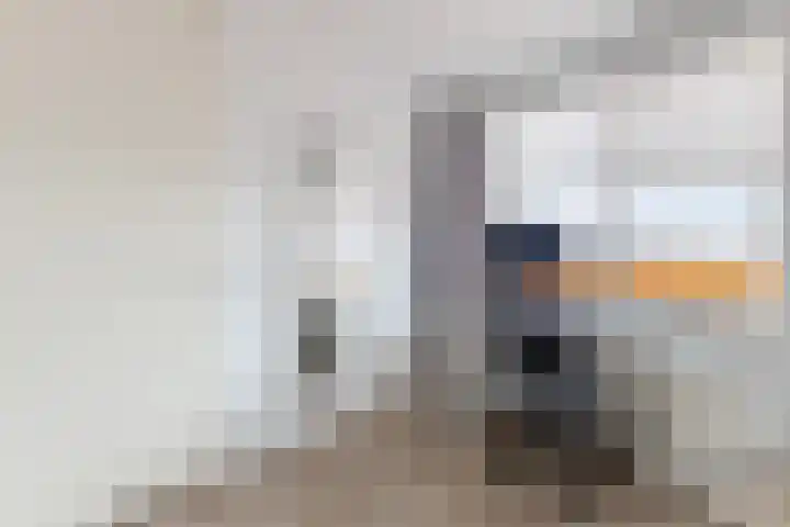 Vurehout 271 Zaandam thumbnail 33