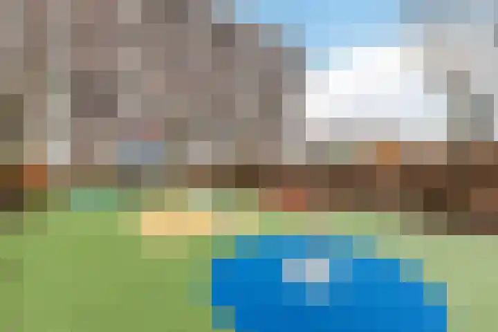 Vurehout 271 Zaandam thumbnail 44
