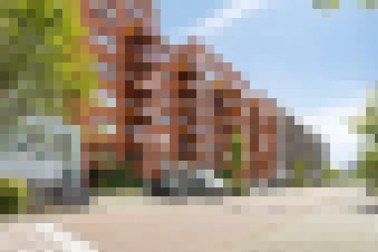 Vurehout 277 Zaandam thumbnail 31