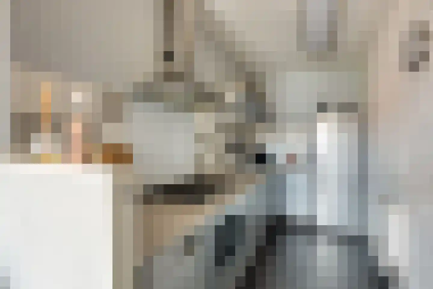 Vurehout 277 Zaandam thumbnail 7