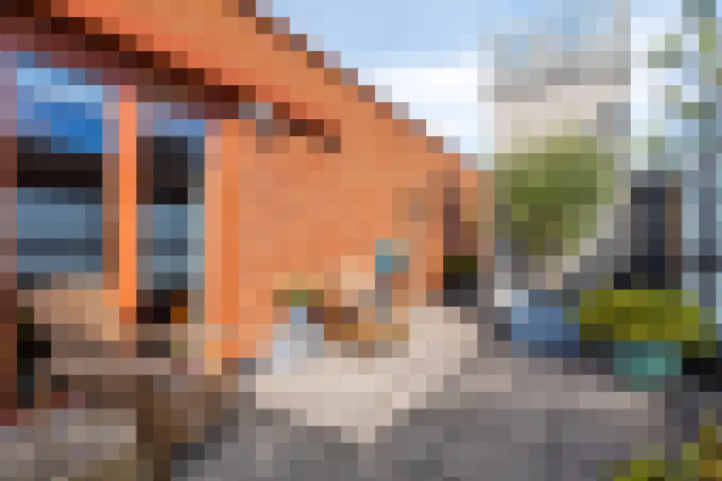 Vurehout 283 Zaandam thumbnail 22