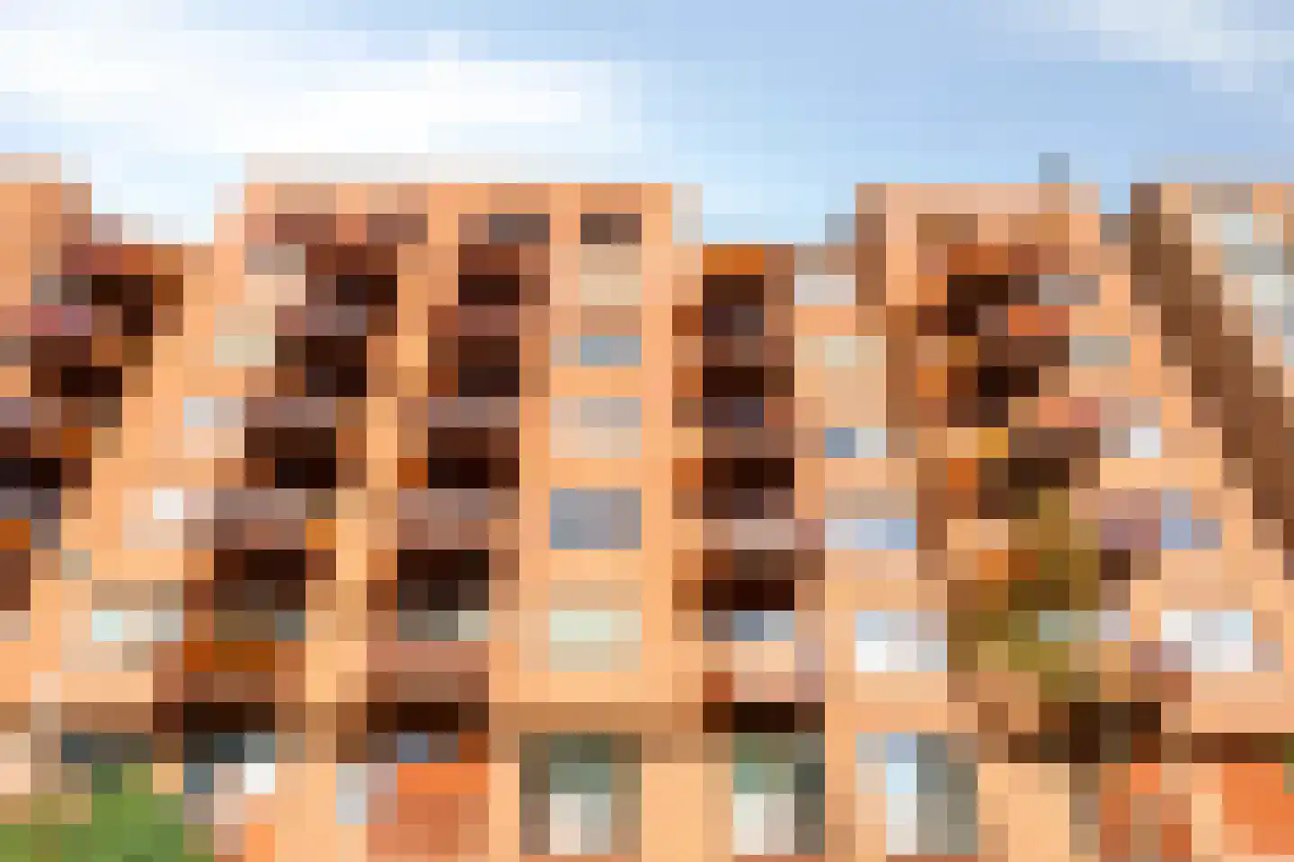 Vurehout 283 Zaandam thumbnail 31