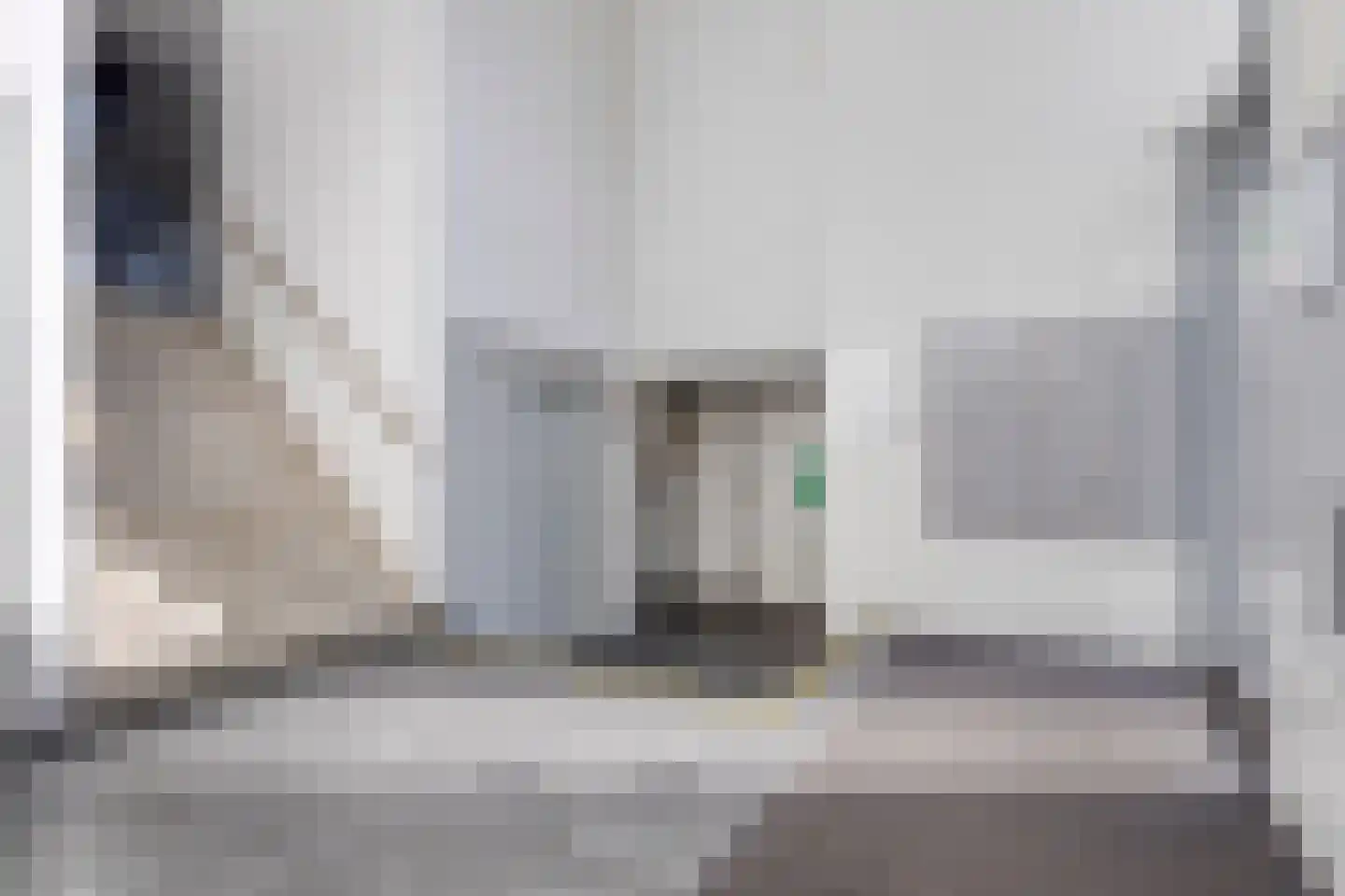 Vurehout 283 Zaandam thumbnail 33