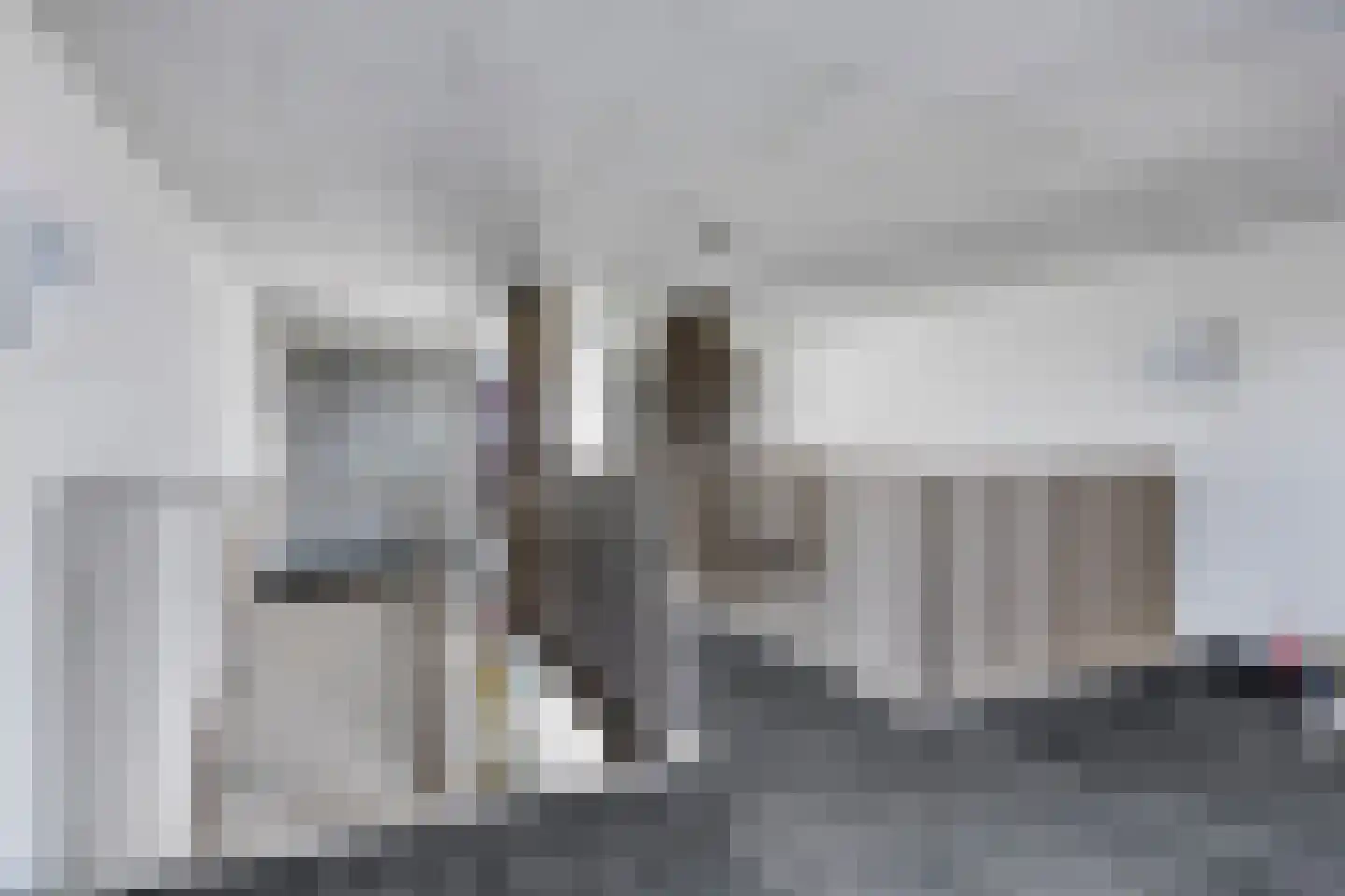 Vurehout 283 Zaandam thumbnail 34