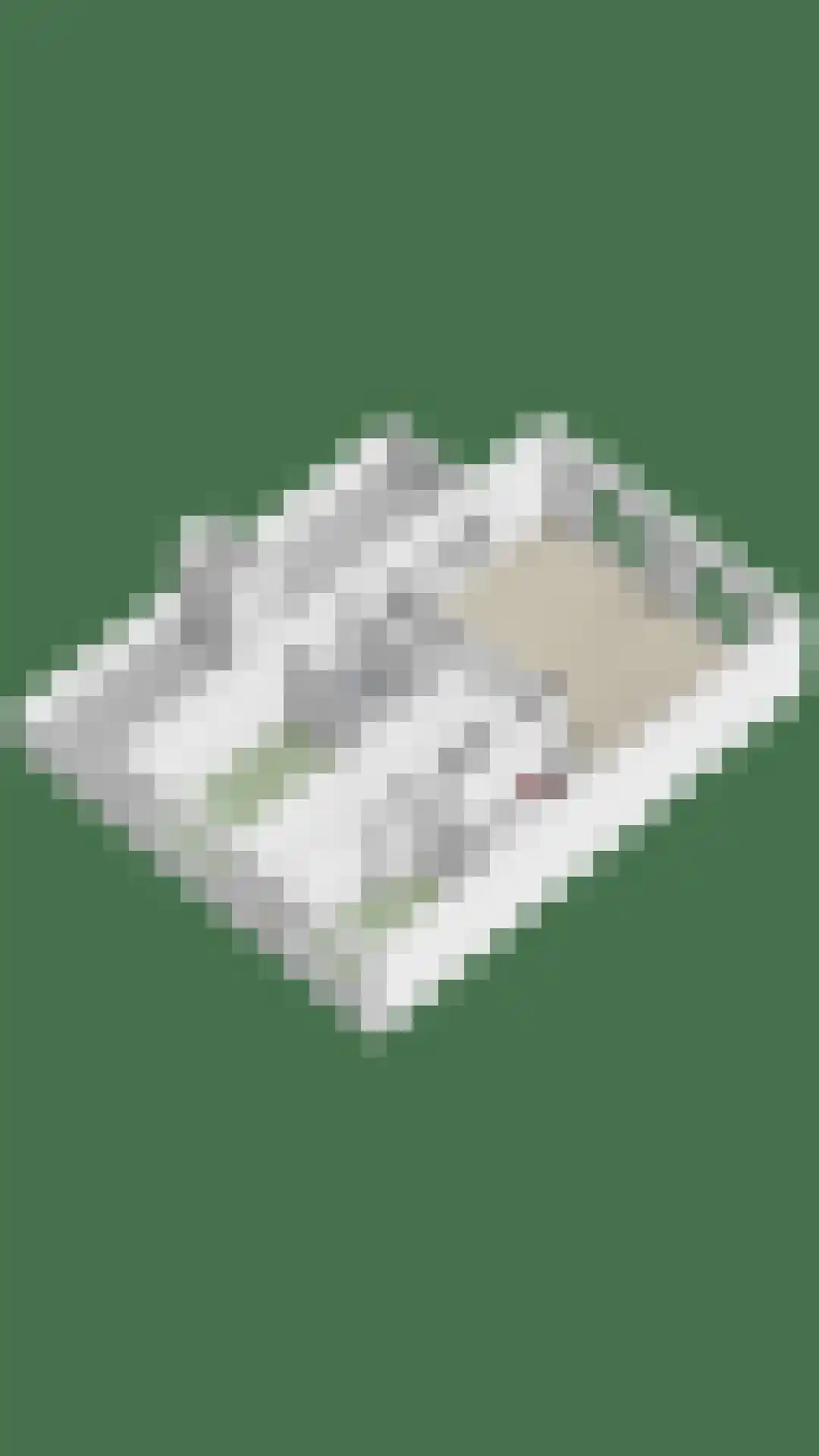 Vurehout 283 Zaandam thumbnail 39
