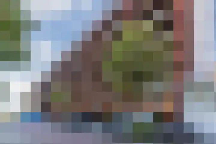 Vurehout 293 Zaandam thumbnail 27