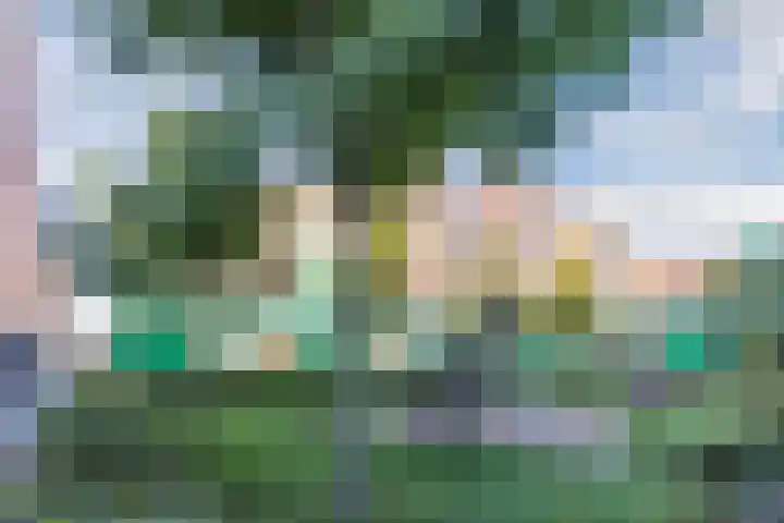 Vurehout 293 Zaandam thumbnail 28
