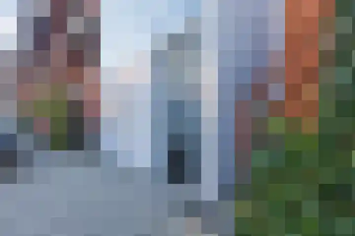 Vurehout 293 Zaandam thumbnail 5