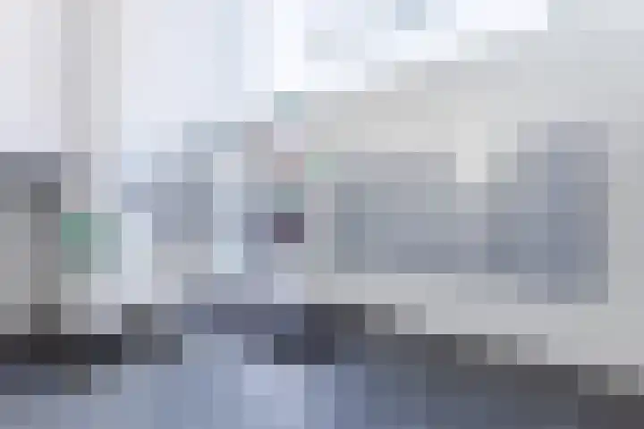 Vurehout 293 Zaandam thumbnail 6