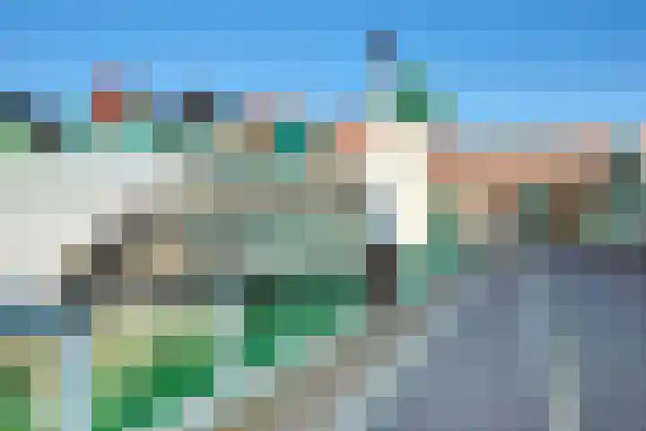 Vurehout 297 Zaandam thumbnail 32