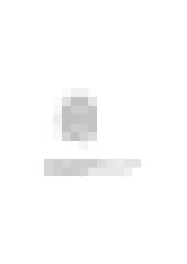 Vurehout 297 Zaandam thumbnail 34