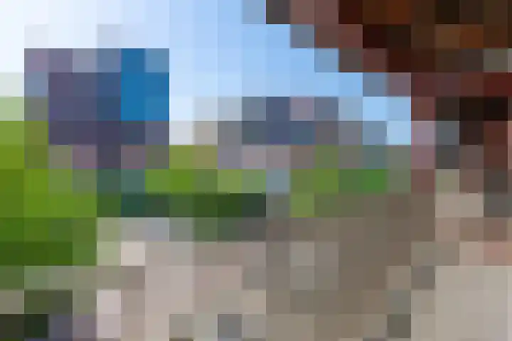 Vurehout 305 Zaandam thumbnail 27