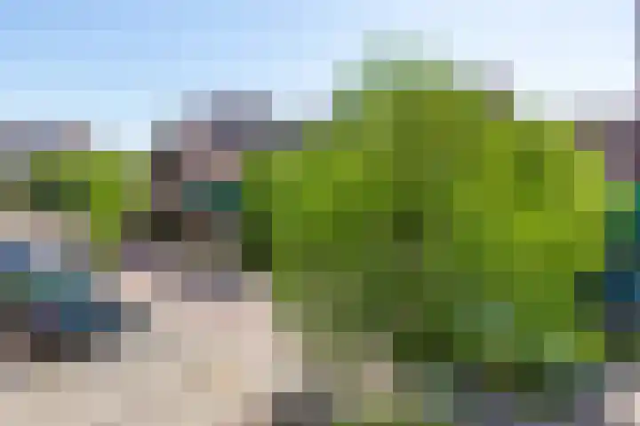 Vurehout 305 Zaandam thumbnail 28
