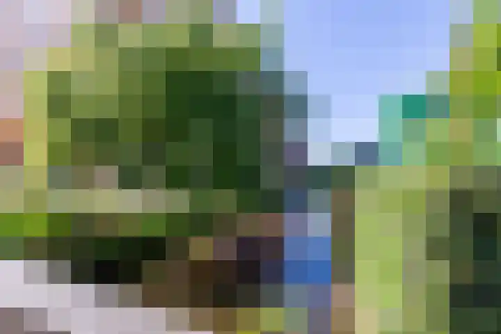 Vurehout 305 Zaandam thumbnail 32
