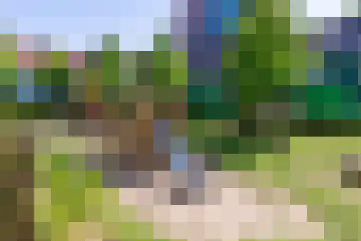 Vurehout 305 Zaandam thumbnail 33