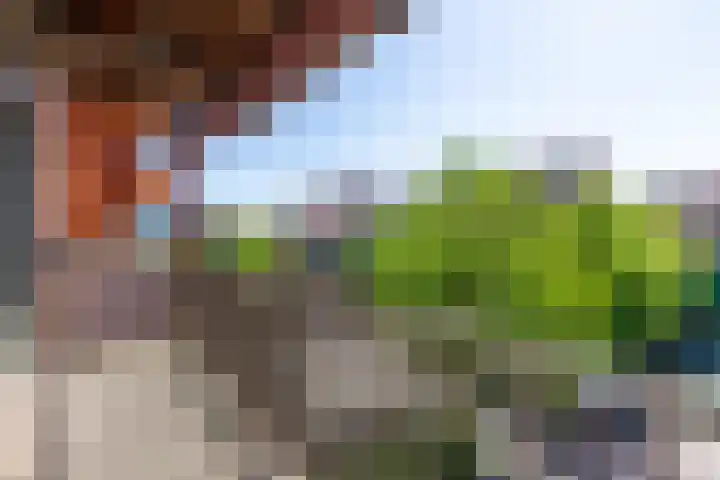 Vurehout 305 Zaandam thumbnail 5