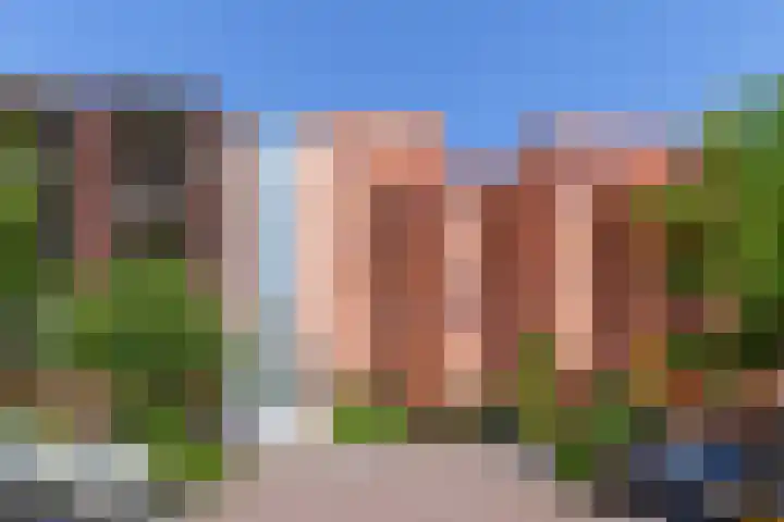 Vurehout 305 Zaandam thumbnail 7