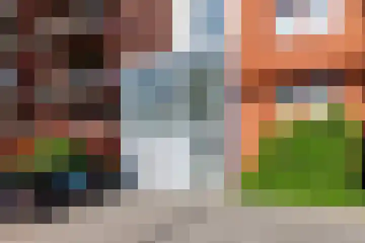 Vurehout 305 Zaandam thumbnail 8