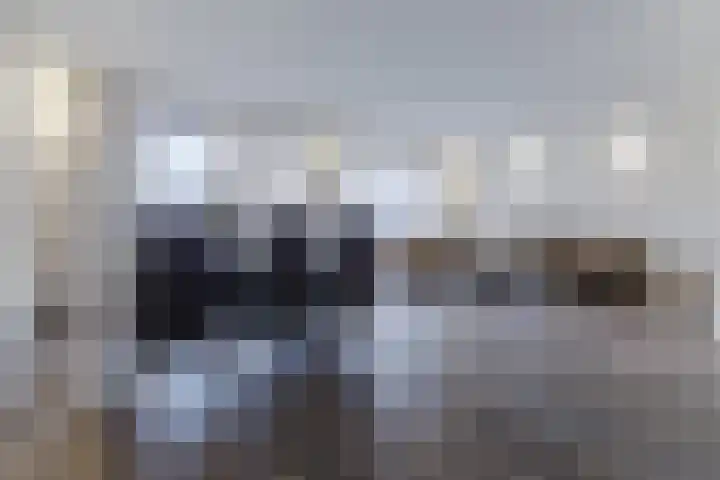 Vurehout 329 Zaandam thumbnail 20