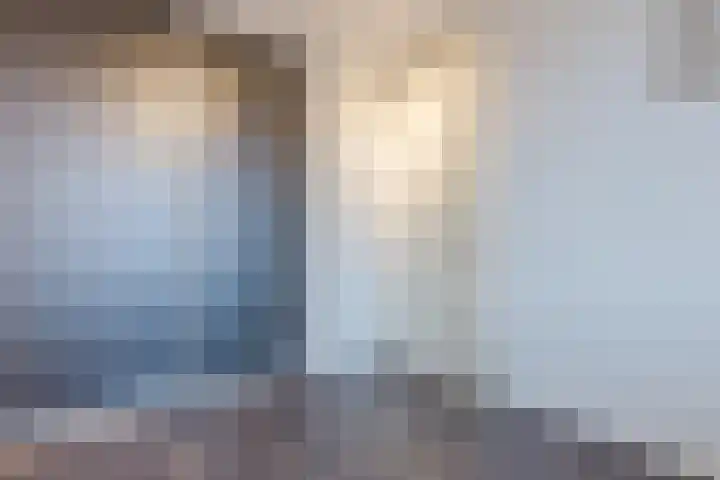 Vurehout 329 Zaandam thumbnail 27