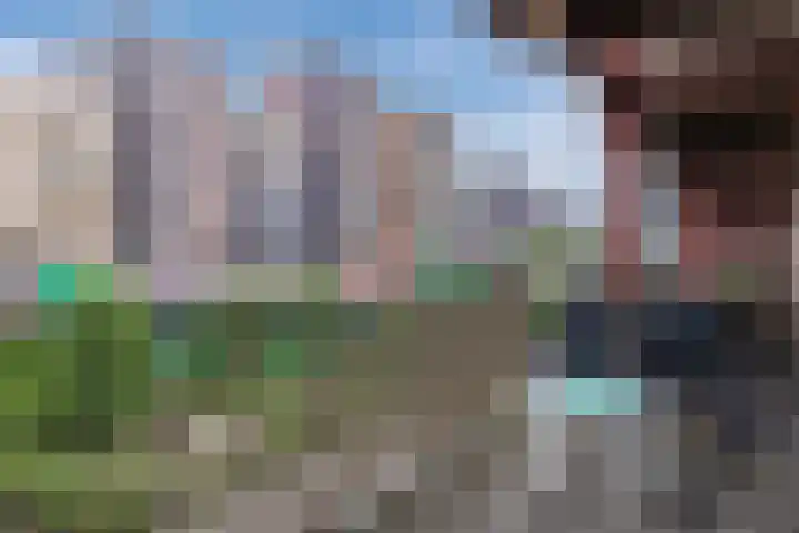 Vurehout 329 Zaandam thumbnail 32