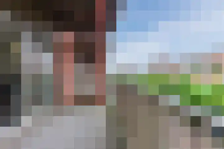 Vurehout 329 Zaandam thumbnail 33