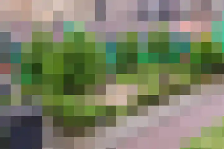Vurehout 329 Zaandam thumbnail 34