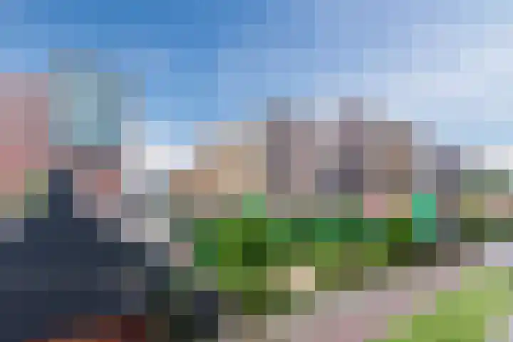 Vurehout 329 Zaandam thumbnail 35