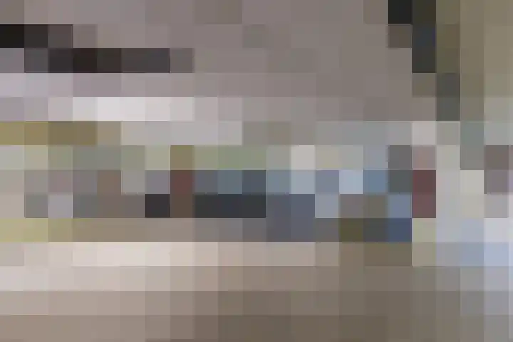 Vurehout 329 Zaandam thumbnail 38