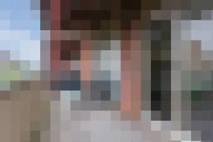 Vurehout 329 Zaandam thumbnail 4