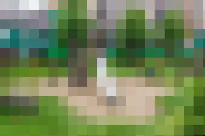 Vurehout 329 Zaandam thumbnail 40